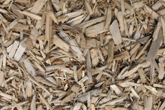biomass boilers Rhosson